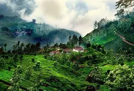 Mysore + Coorg