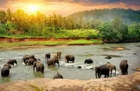 Munnar + Thekkady